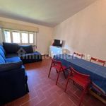 Rent 5 bedroom house of 200 m² in Perugia