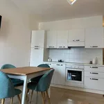 Rent 3 bedroom apartment of 60 m² in Massa