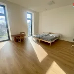 Rent 2 bedroom apartment of 47 m² in Ostrava