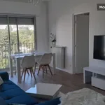 Rent 3 bedroom apartment of 65 m² in Nice