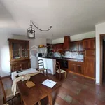 Rent 5 bedroom house of 180 m² in Chieri