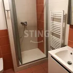 Rent 2 bedroom apartment in Pardubice