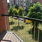 Rent 2 bedroom apartment of 35 m² in Cremona