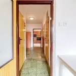 Rent 1 bedroom house of 110 m² in Miličín