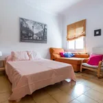 Alquilar 6 dormitorio apartamento en Valencia