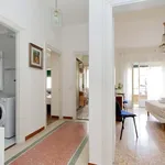 Rent 5 bedroom apartment of 110 m² in Rome