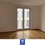 Miete 2 Schlafzimmer wohnung von 54 m² in Dresden