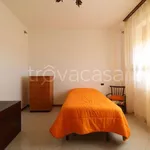 Rent 3 bedroom apartment of 75 m² in Siena