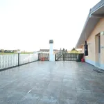 Rent 3 bedroom apartment of 65 m² in San Carlo Canavese