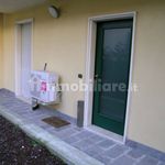 Rent 2 bedroom apartment of 60 m² in Novara