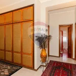 Rent 5 bedroom apartment of 224 m² in Catania