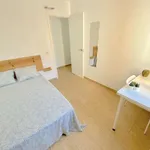 Rent a room in seville