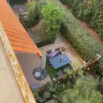 Rent 4 bedroom apartment in Hyères