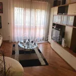 Rent 4 bedroom apartment of 100 m² in Sesto Fiorentino