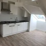 Rent 2 bedroom apartment of 50 m² in Haarlem