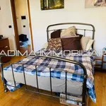 Rent 1 bedroom apartment of 60 m² in Rome