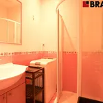 Rent 2 bedroom apartment of 63 m² in Brno