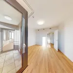 Pronajměte si 3 ložnic/e byt o rozloze 83 m² v Prague