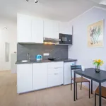 Studio o rozloze 25 m² v prague