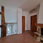 Rent 3 bedroom apartment of 20 m² in Sokolov