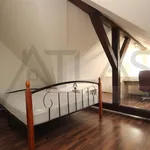 Rent 3 bedroom apartment of 133 m² in Prague