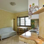 Rent 1 bedroom apartment in Rome