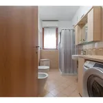 Rent 2 bedroom apartment of 68 m² in Milano