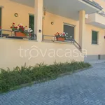 Rent 2 bedroom apartment of 45 m² in Chiusa di Pesio