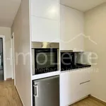 Rent 1 bedroom apartment of 40 m² in Porto