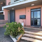 Rent 2 bedroom apartment of 40 m² in Roma