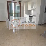 Rent 3 bedroom apartment of 90 m² in legnaro