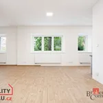 Pronajměte si 1 ložnic/e byt o rozloze 53 m² v Pilsen