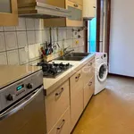 Rent 3 bedroom apartment of 100 m² in Padova