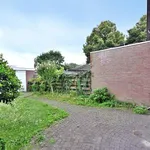 Rent 4 bedroom house of 94 m² in Tilburg