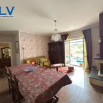 Rent 4 bedroom apartment of 90 m² in Frosinone