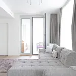 Rent 1 bedroom apartment in Antwerpen