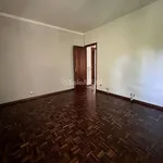 Rent 5 bedroom apartment of 105 m² in Pavia