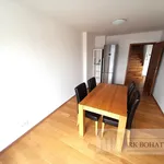 Pronajměte si 4 ložnic/e byt o rozloze 108 m² v Prague