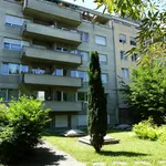 Rent 2 bedroom apartment of 54 m² in Basel