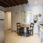 Rent 1 bedroom apartment of 50 m² in Florence