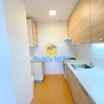 Rent 2 bedroom apartment in Praha 4