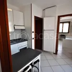 Rent 1 bedroom apartment of 30 m² in Novara