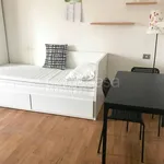 Rent 1 bedroom apartment of 32 m² in Milano