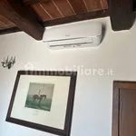 Rent 2 bedroom apartment of 50 m² in Grosseto