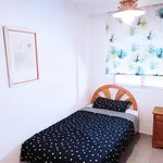 Alquilar 4 dormitorio apartamento en Malaga