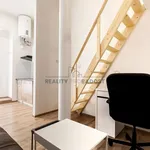 Rent 1 bedroom apartment of 21 m² in Brno