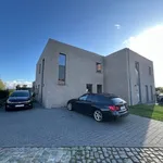 Rent 4 bedroom house in Aartrijke