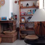 Rent 4 bedroom house of 75 m² in Carovigno