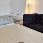 Rent 1 bedroom apartment of 35 m² in Dresden