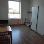 Rent 1 bedroom apartment in Rokycany